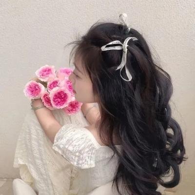 泰迪熊